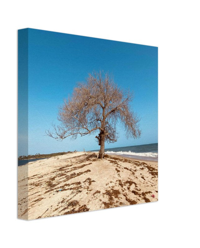 Photo Print Canvas - "The Last Stand" | Wall Art