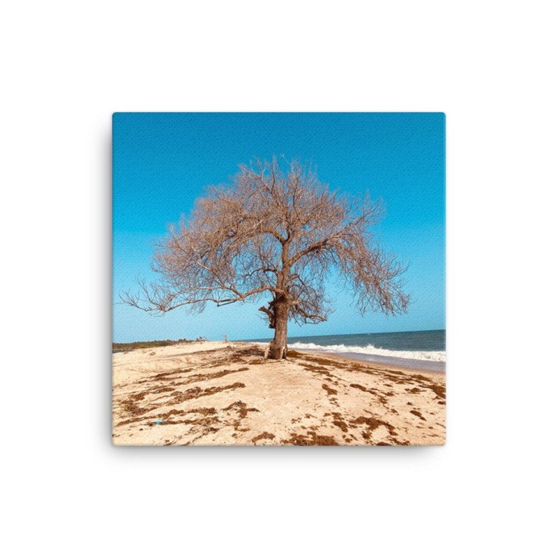 Photo Print Canvas - "The Last Stand" | Wall Art